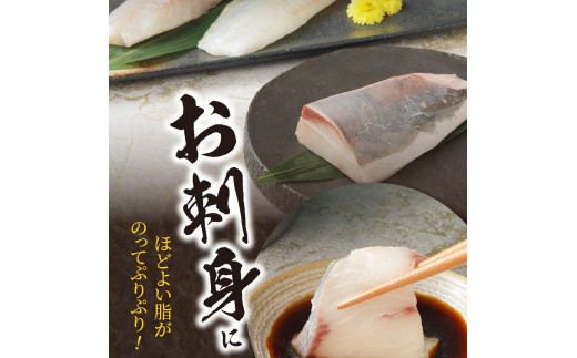 〈数量限定・訳あり〉日向灘活〆ロインお刺身3種の食べ比べ〈其の壱〉　計470g以上　N124-ZB059