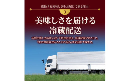 延岡産活〆真鯛とシマアジの豪華お刺身セット　N019-ZC804　請関水産