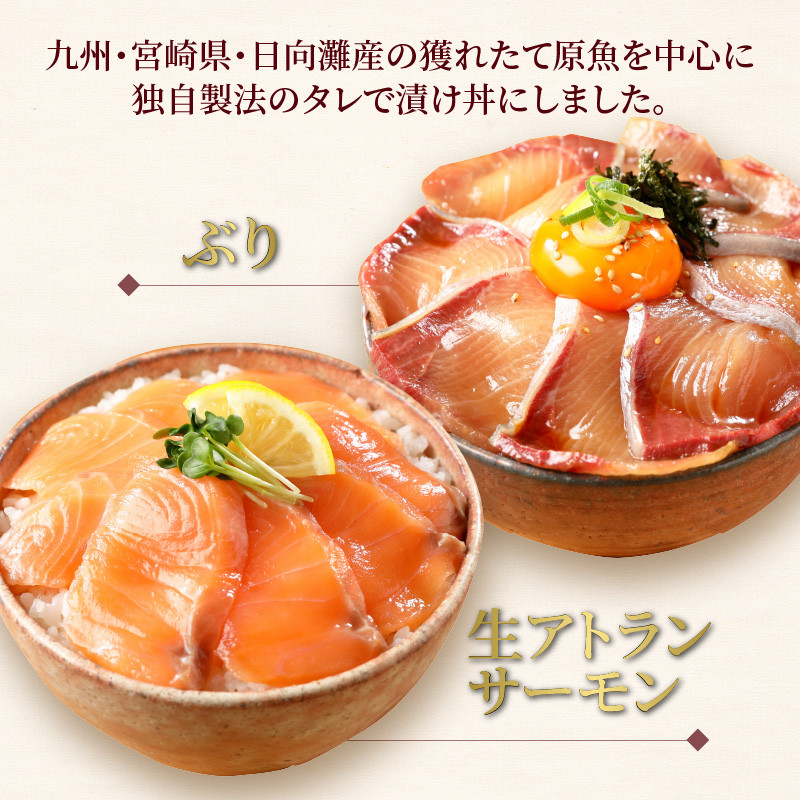 【冷凍】日向灘ぶりと生アトランサーモンの漬け丼2種食べ比べセット　100g×8袋　N019-ZA829