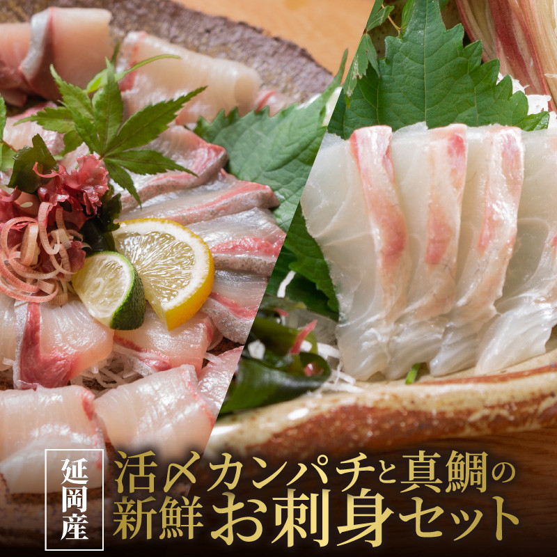 延岡産活〆カンパチと真鯛の新鮮お刺身セット　N019-ZB106　請関水産
