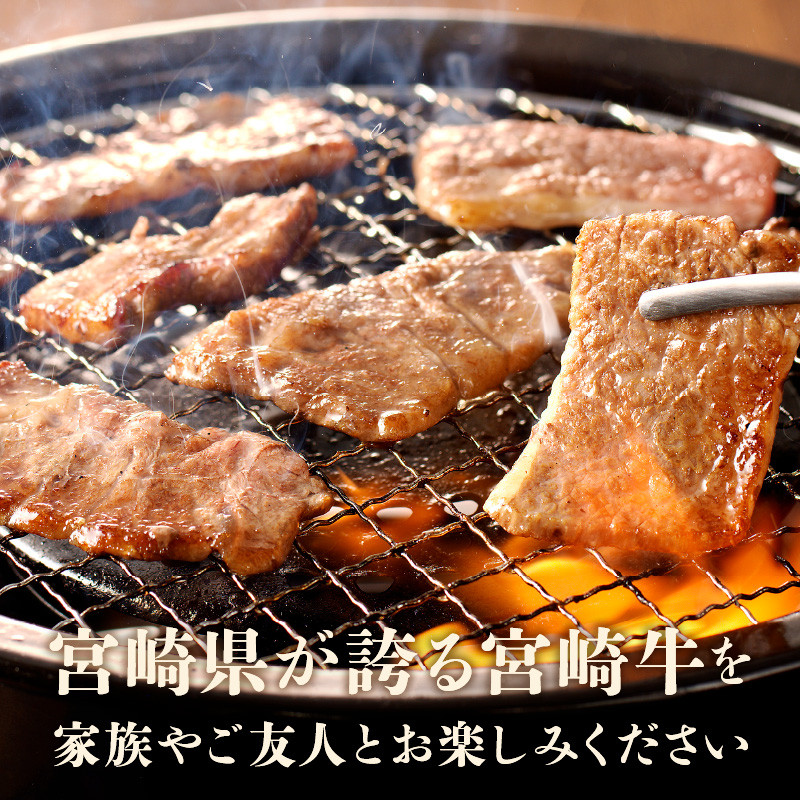 宮崎牛極み上焼肉セット 合計 300gN0140-YB086