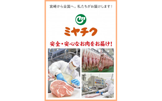 宮崎県産豚 ロースとんかつ 100g×5 ロースしゃぶ 500g ヒレとんかつ 400g　計1.4kg ミヤチク 国産　N0147‐A3327