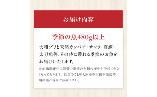 【単月お届け】大和海商 こだわり漁師のお刺身 6人前 N072-A3332_1