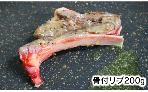 ジビエ革命〜究極のジビエ　鹿肉セット　N028-ZA509