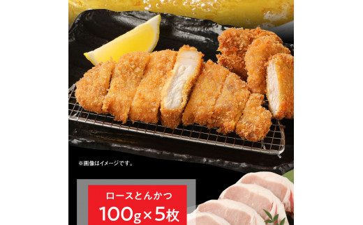 宮崎県産豚 ロースとんかつ 100g×5 ロースしゃぶ 500g ヒレとんかつ 400g　計1.4kg ミヤチク 国産　N0147‐A3327