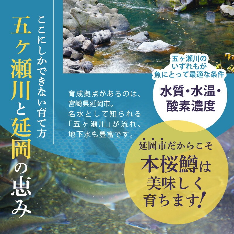 譛ャ譯憺ア偵せ繝「繝シ繧ッ繧オ繝シ繝「繝ウ3遞ョ鬟溘∋豈斐∋繧サ繝繝 N0116-YA3363