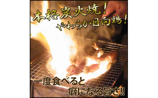 日向鶏炭火焼き1.2kg　N066-ZB810