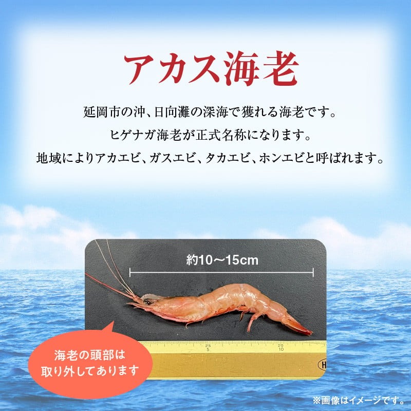 アカス海老Sサイズ頭取り済み N0130-YZA0291