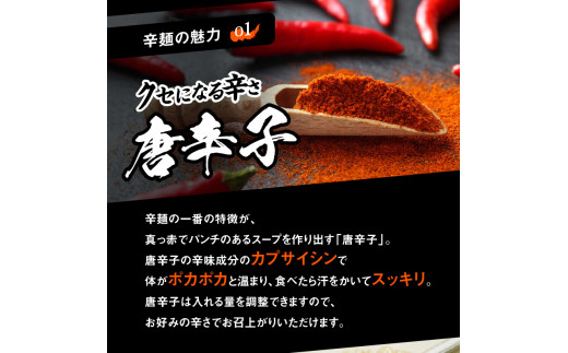 辛麺4食【3カ月定期便】　N040-ZC067