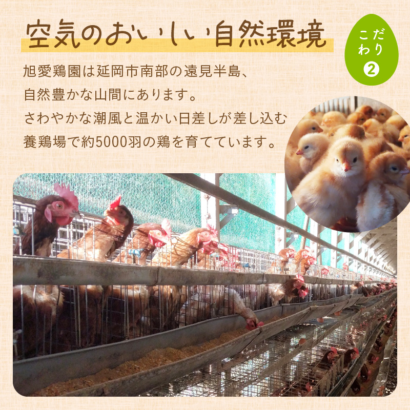 延岡産もみじ玉子30個 N033-YA0140