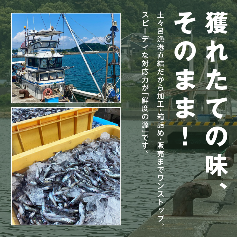 訳あり唐揚げ用めひかり1kgサイズ不揃い簡単揚げるだけ! N065-YA0375