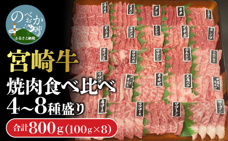 宮崎牛焼肉食べ比べ4種～8種盛り 合計800g　N0140-YC523