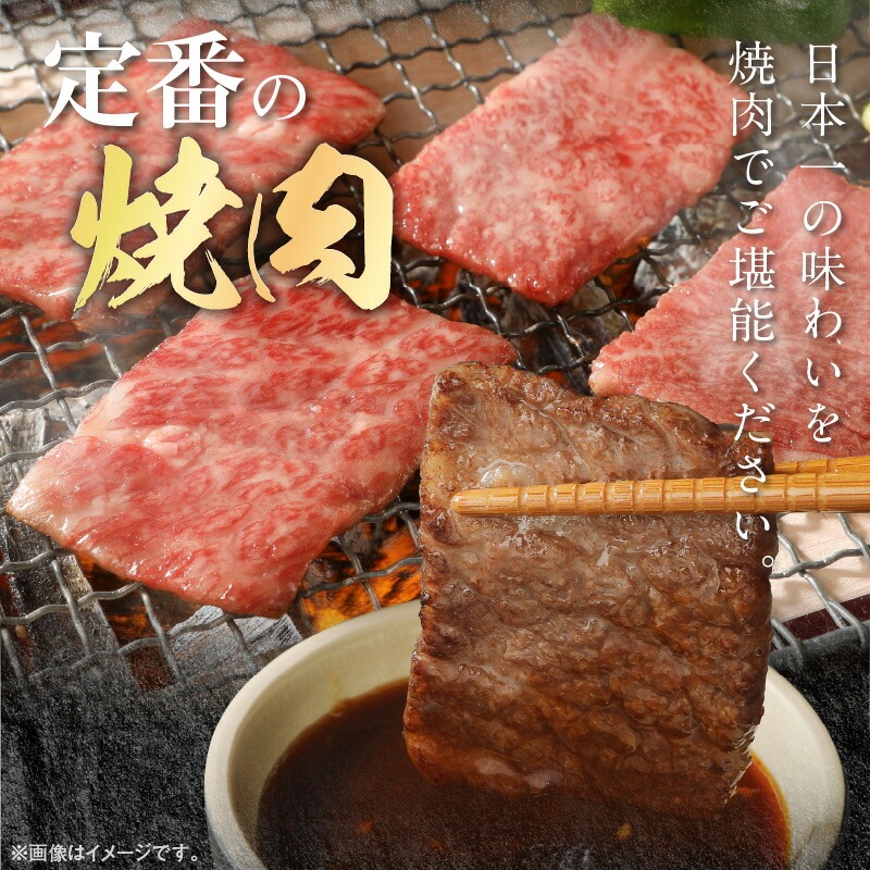 螳ョ蟠守央繝「繝「辟シ閧臥畑500g N0147-YA771