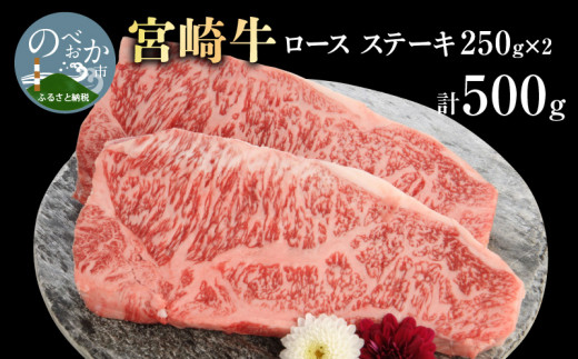 宮崎牛 ロース ステーキ 250g×2 計500g　N0147‐B426