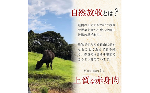 八崎牛の熟成モモスライス　約250g×2【贈答向け】　N0105-C707