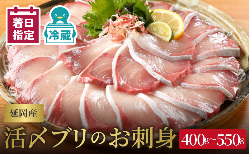 【冷蔵】【日向灘どれ】延岡産活〆ブリのお刺身400g〜550g N019-YZA044