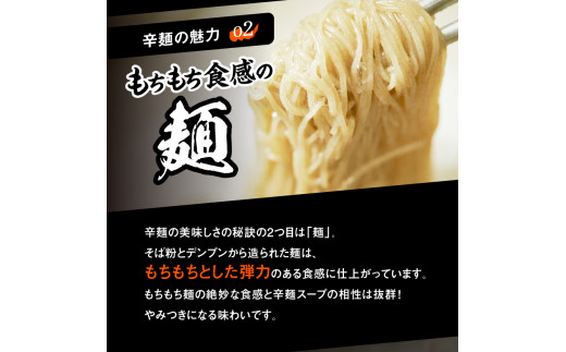 辛麺4食・なんこつ1セット【12カ月定期便】　N040-ZG0114