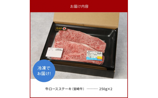 宮崎牛 ロース ステーキ 250g×2 計500g　N0147‐B426