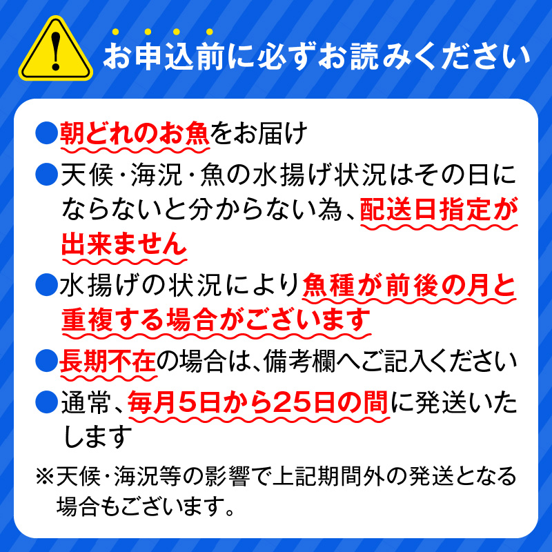 【12ヶ月定期便】大和のこだわり漁師のお刺身6人前 N072-YG0144_1