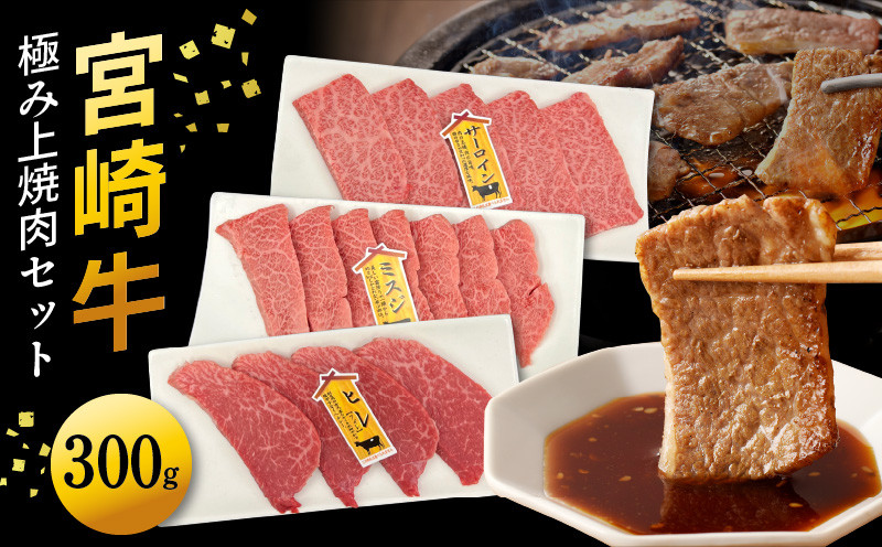 宮崎牛極み上焼肉セット 合計 300gN0140-YB086