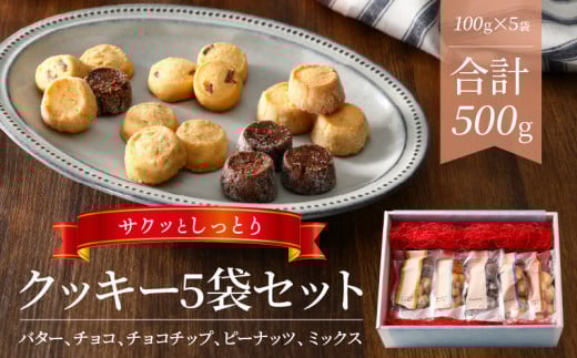 クッキー5種類セット N0160-YZA0269