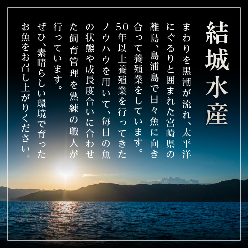 【3ヶ月定期便】(冷凍)結城水産イチオシ！生産者が一手間加えた刺身ブロック N015-YD0240