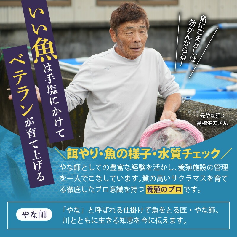 譛ャ譯憺ア偵せ繝「繝シ繧ッ繧オ繝シ繝「繝ウ3遞ョ鬟溘∋豈斐∋繧サ繝繝 N0116-YA3363