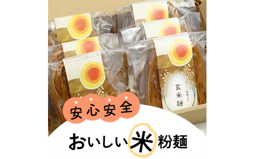 【グルテンフリー】無添加玄米麺　計100g×6袋　N0107-A058