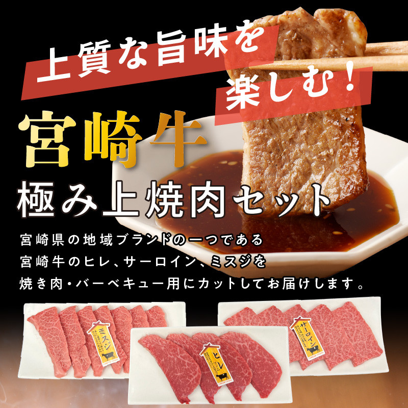 宮崎牛極み上焼肉セット 合計 300gN0140-YB086