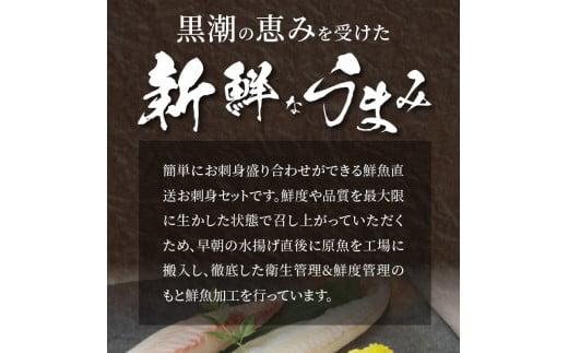 〈数量限定・訳あり〉日向灘活〆ロインお刺身3種の食べ比べ〈其の壱〉　計470g以上　N124-ZB059