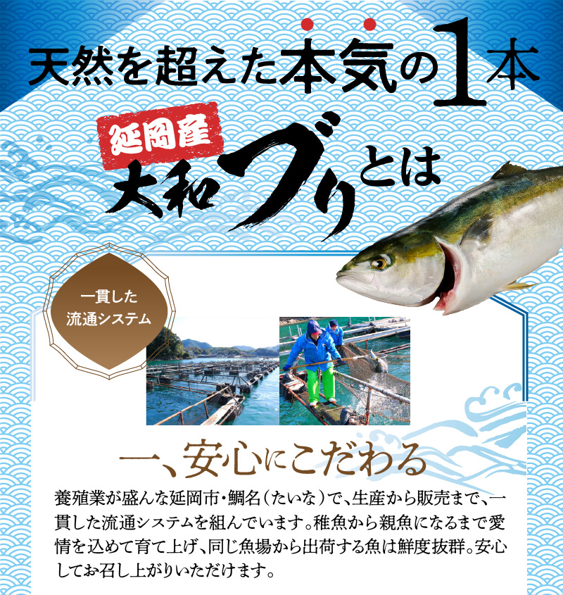 大和ブリのスペアリブ 約300g×2パック N072-YA0435