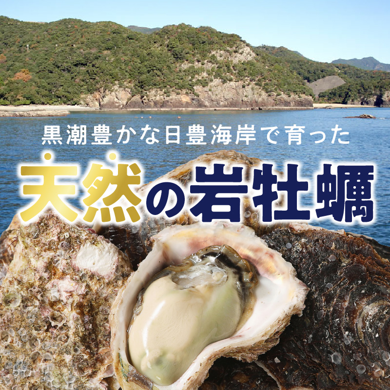 延岡産天然岩牡蠣（生食用）5kg（小）（2024年4月1日から発送開始）　N036-B305