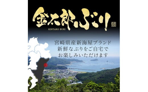 宮崎産 新海屋 鰤屋金太郎 金太郎ぶり 2000g　冷凍　N018-ZC903_2