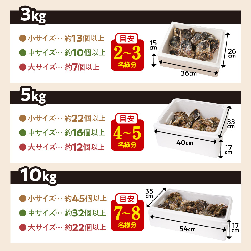 延岡産天然岩牡蠣（生食用）3kg（小）（2024年4月1日から発送開始）　N036-ZA525