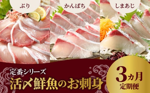 定期便 定番シリーズ 活〆鮮魚のお刺身 （3ヶ月お届け）請関水産　N019-ZD041