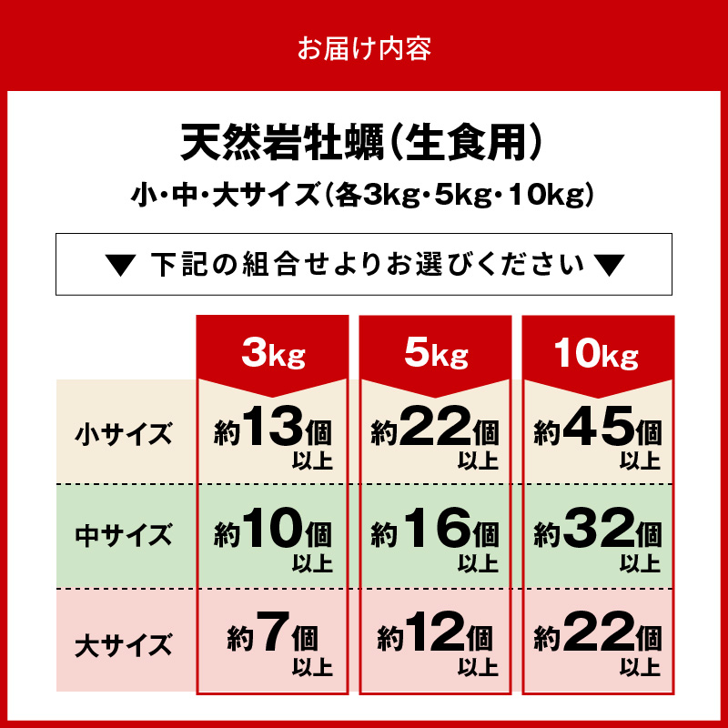 延岡産天然岩牡蠣（生食用）5kg（大）（2024年4月1日から発送開始）　N036-B307