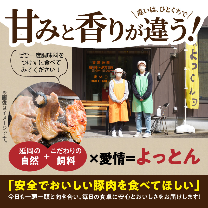 延岡ãã£ãšã ãŠãïŒã¢ã¢ãããã¯çŽ1.8kg N003-YA969