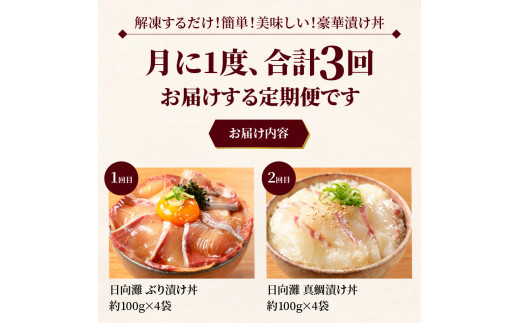 【ふるさと納税】日向灘 海鮮丼 漬け丼 お魚の漬け丼 バラエティ3回定期便　N019-ZC515