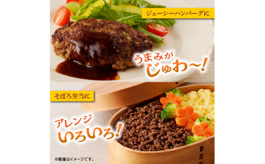 宮崎牛 サーロインステーキ & ハンバーグ用ミンチ セット 合計 1.1kg　N0140-ZB241