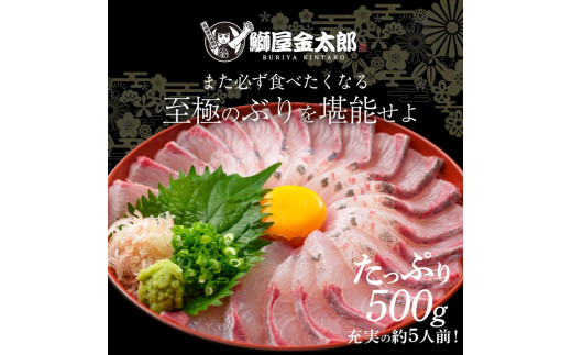 宮崎産 新海屋 鰤屋金太郎 金太郎ぶり 500g　冷凍　N018-ZA462_2