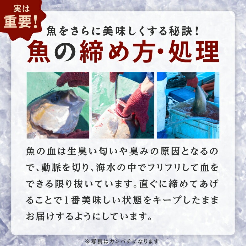 【3ヶ月定期便】(冷凍)結城水産イチオシ！生産者が一手間加えた刺身ブロック N015-YD0240