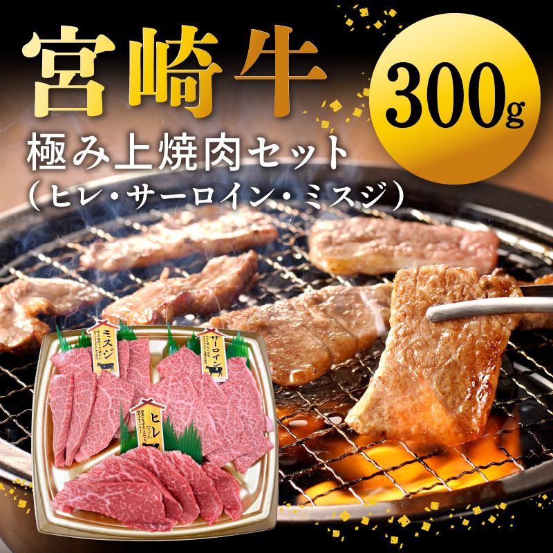 宮崎牛極み上焼肉セット 合計 300gN0140-YB086