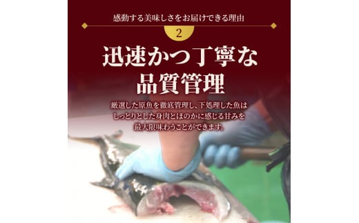 延岡産活〆鮮魚　職人技の脱血鮮魚　真鯛　N019-ZA476　請関水産