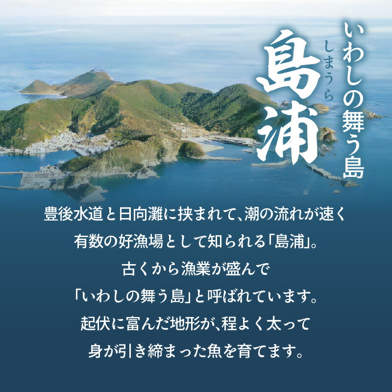 飼育期間中無投薬！しまうら真鯛「絶品一夜干しセット」 N0148-YA2236