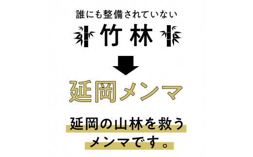 延岡メンマ 3種 セット　A151