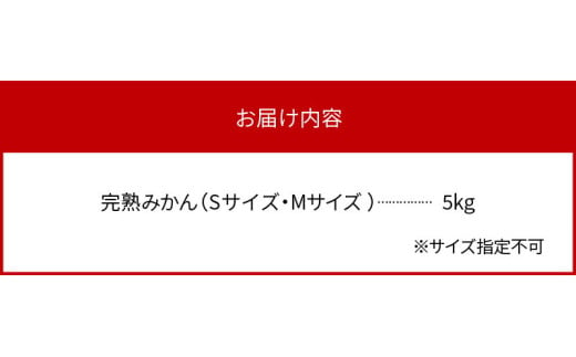 早生みかん及普通みかん 5kg N0132-YA191