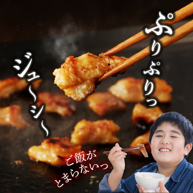 縲仙ョョ蟠守肇縲題ア夂峩閻ク(繝帙Ν繝「繝ウ)繧ソ繝ャ貍ャ縺 1kg (500gテ2) N061-YA4421