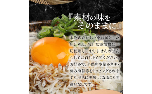 宮崎産 しらす丼 セット 小分け 5食分 200g 老舗醸造所 特製醤油付き　N065-A0221