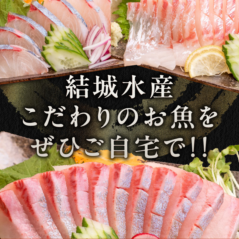 【3ヶ月定期便】(冷凍)結城水産イチオシ！生産者が一手間加えた刺身ブロック N015-YD0240