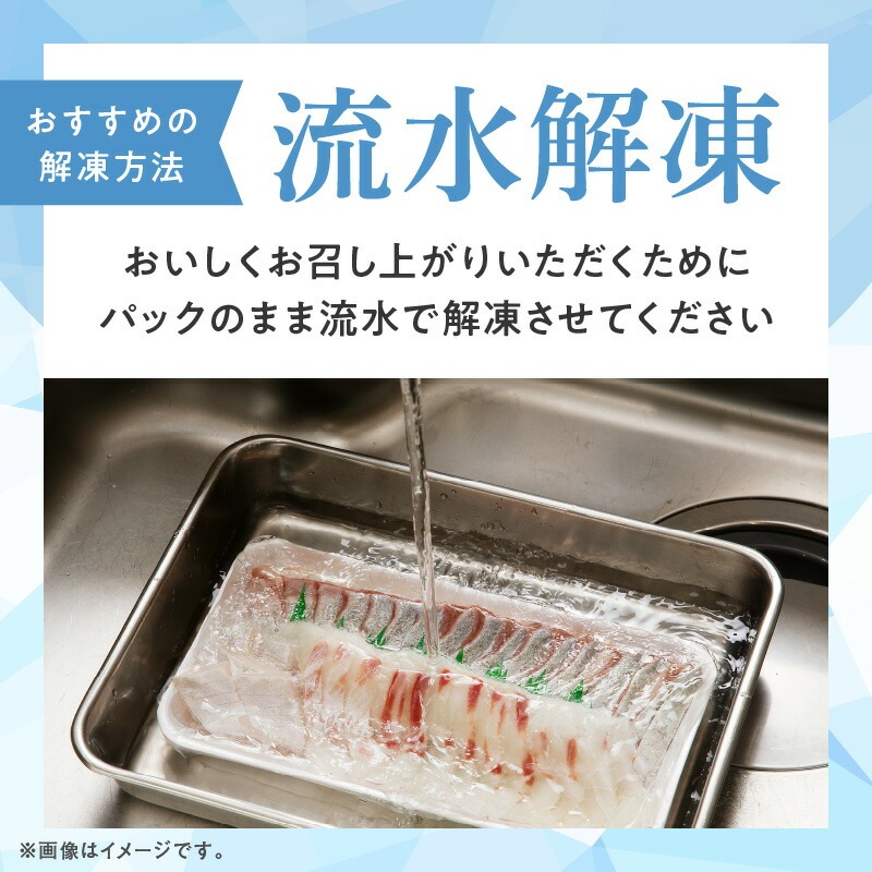 大和サーモン(サクラマス)のお造り 宮崎の美味を味わう 8人前 N072-YA857